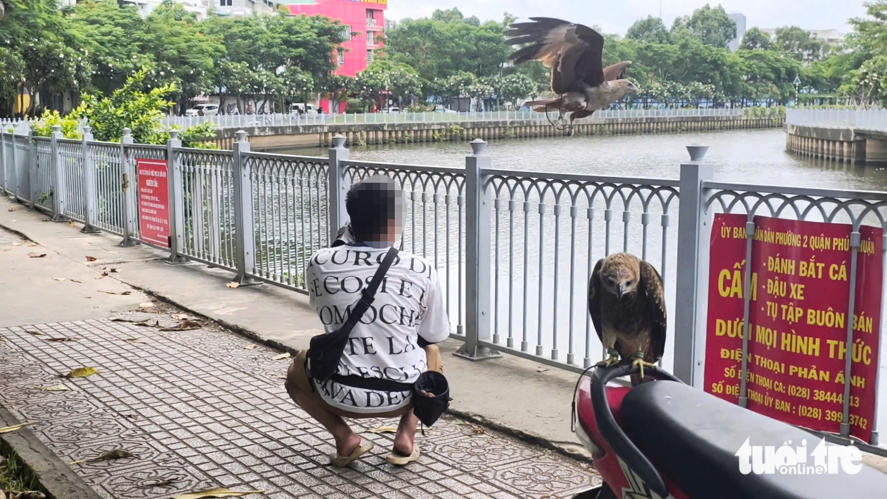 无证饲养火鹰是违法行为