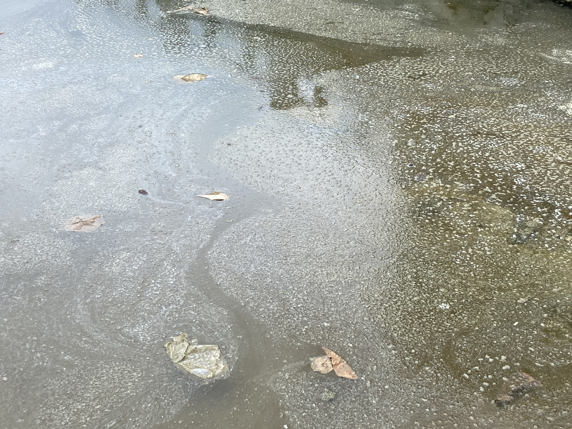 黑色污水直接流入芽庄海，威胁Hon Chong珊瑚礁