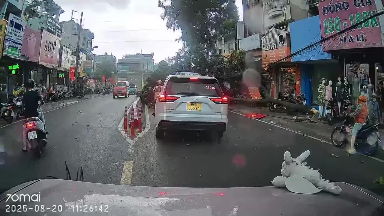 胡志明市中午大雷雨，多处树木倒下
