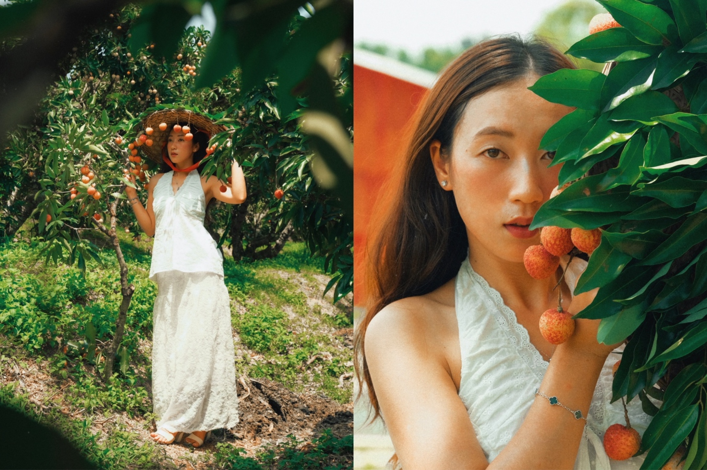 北宁的荔枝市场因美丽照片如电影场景般'火爆'