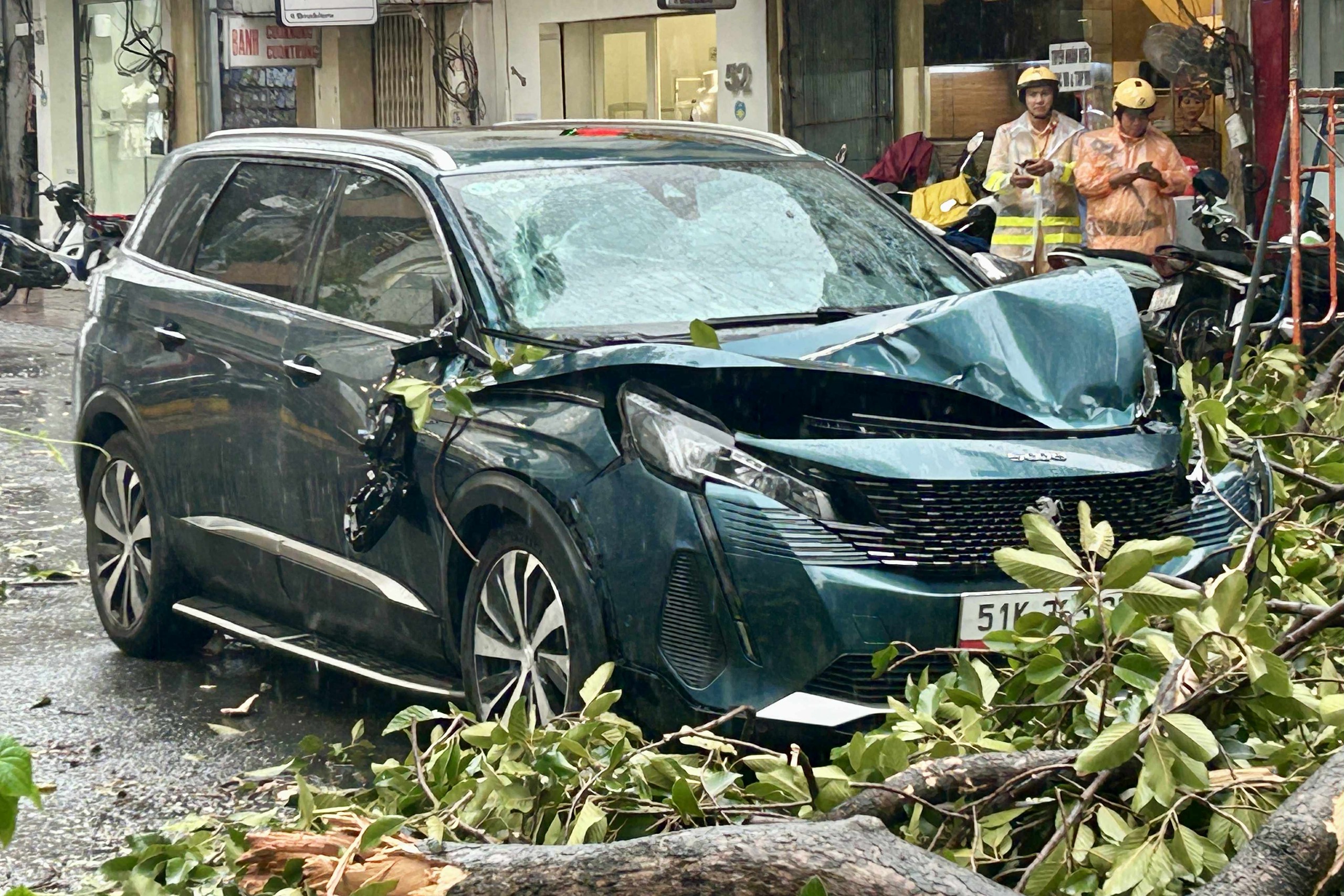 胡志明市中午大雷雨，多处树木倒下