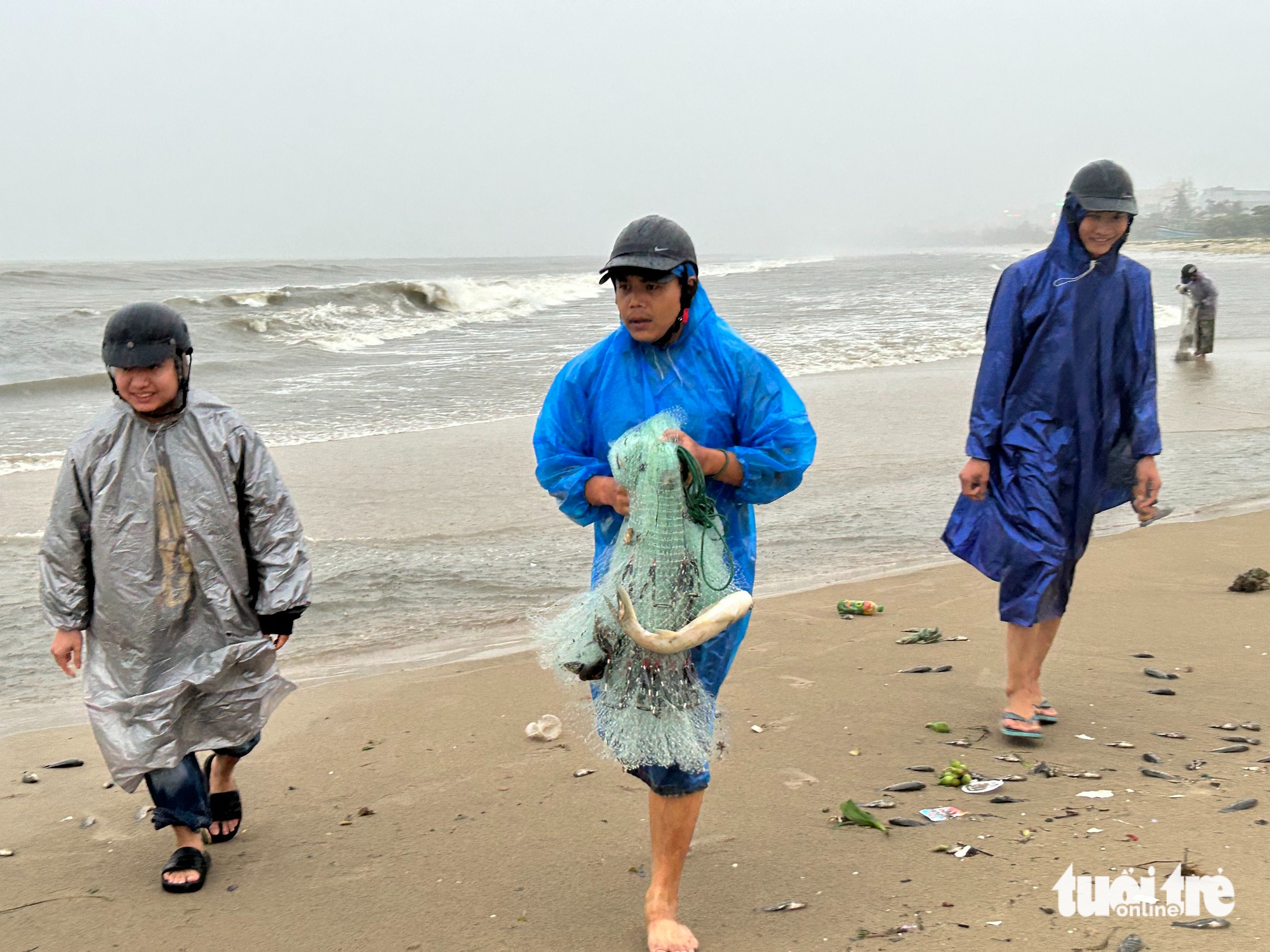 在大雨中，岘港市民出海捕捞...鲶鱼、罗非鱼