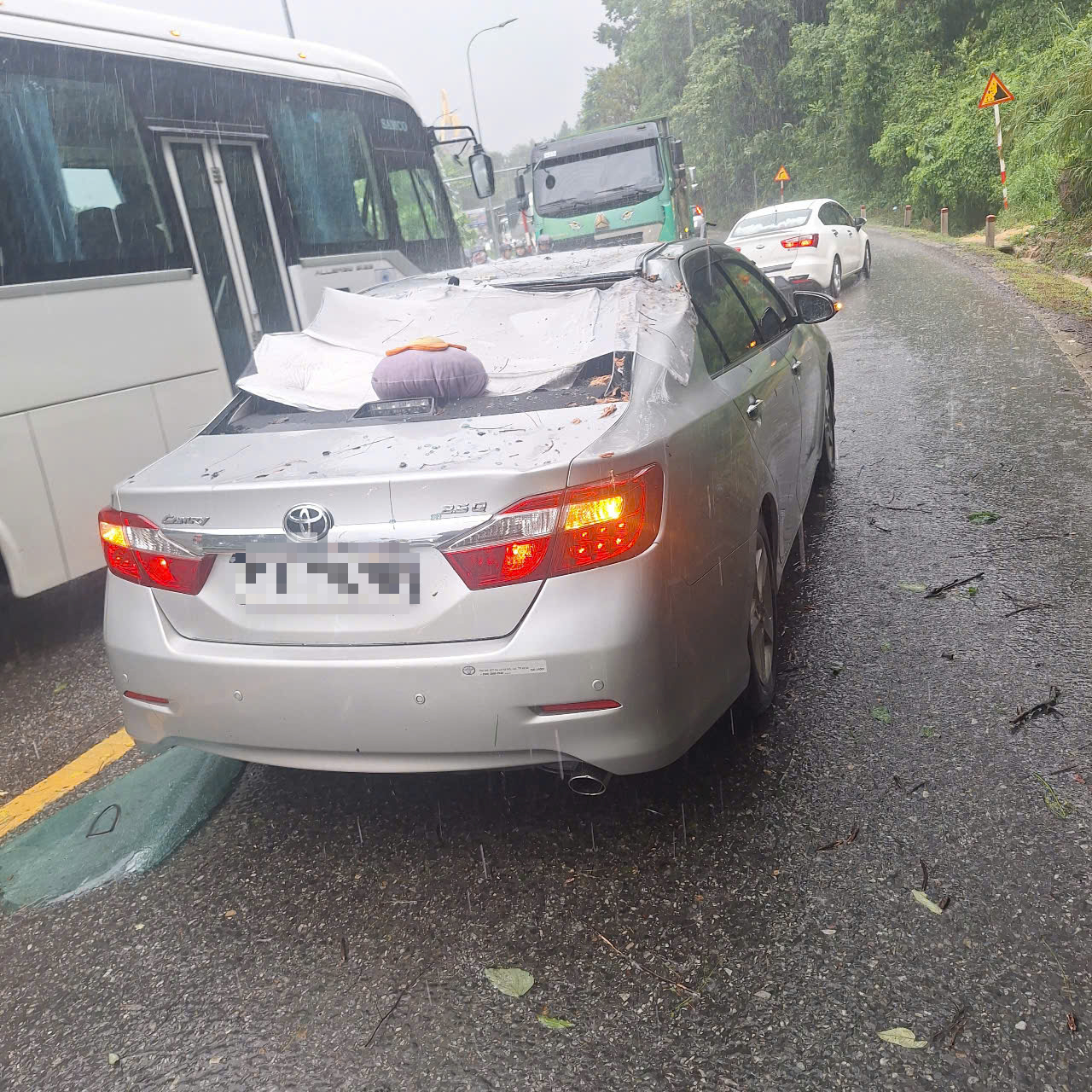 树木倒在保禄山口，砸中汽车