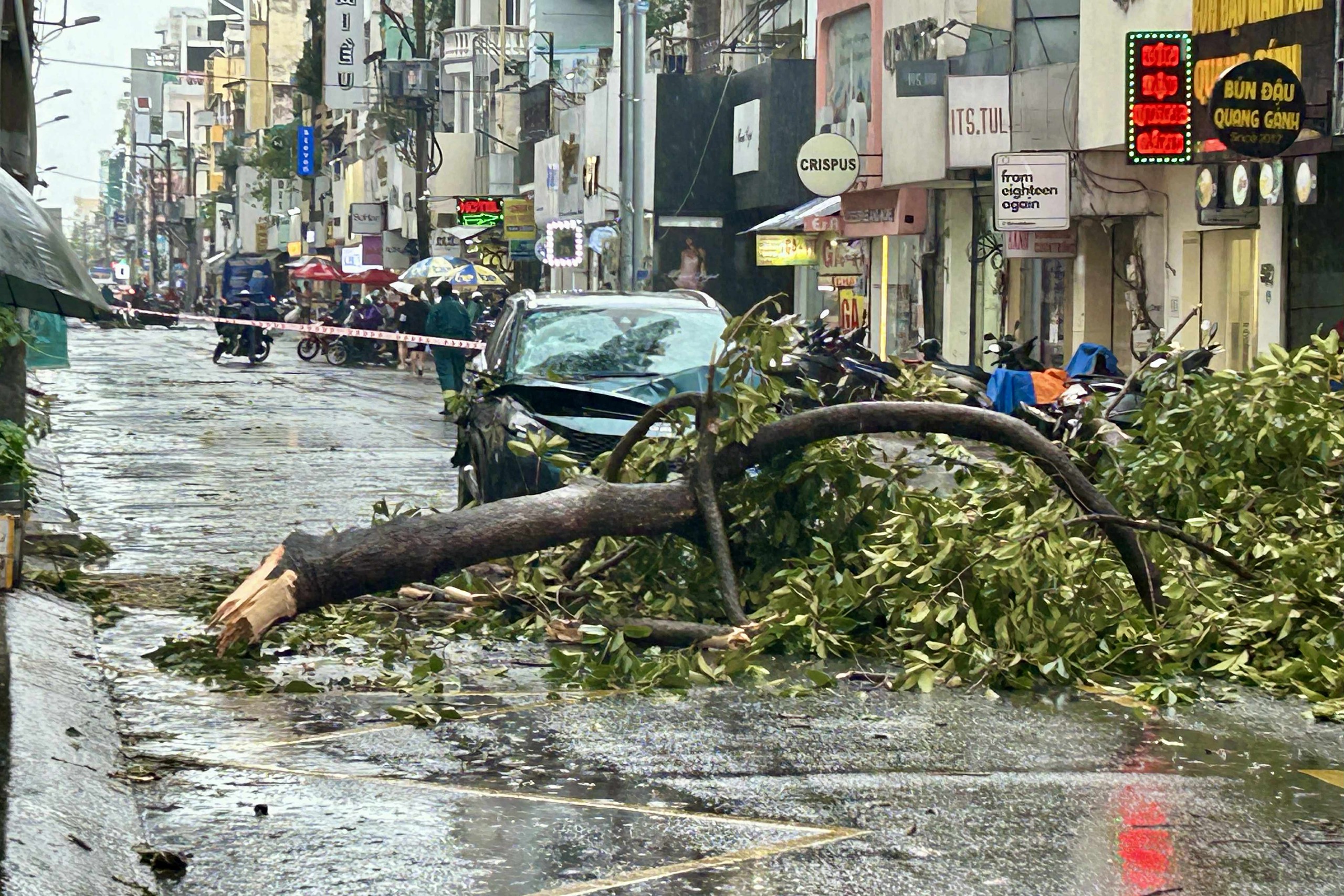 胡志明市中午大雷雨，多处树木倒下