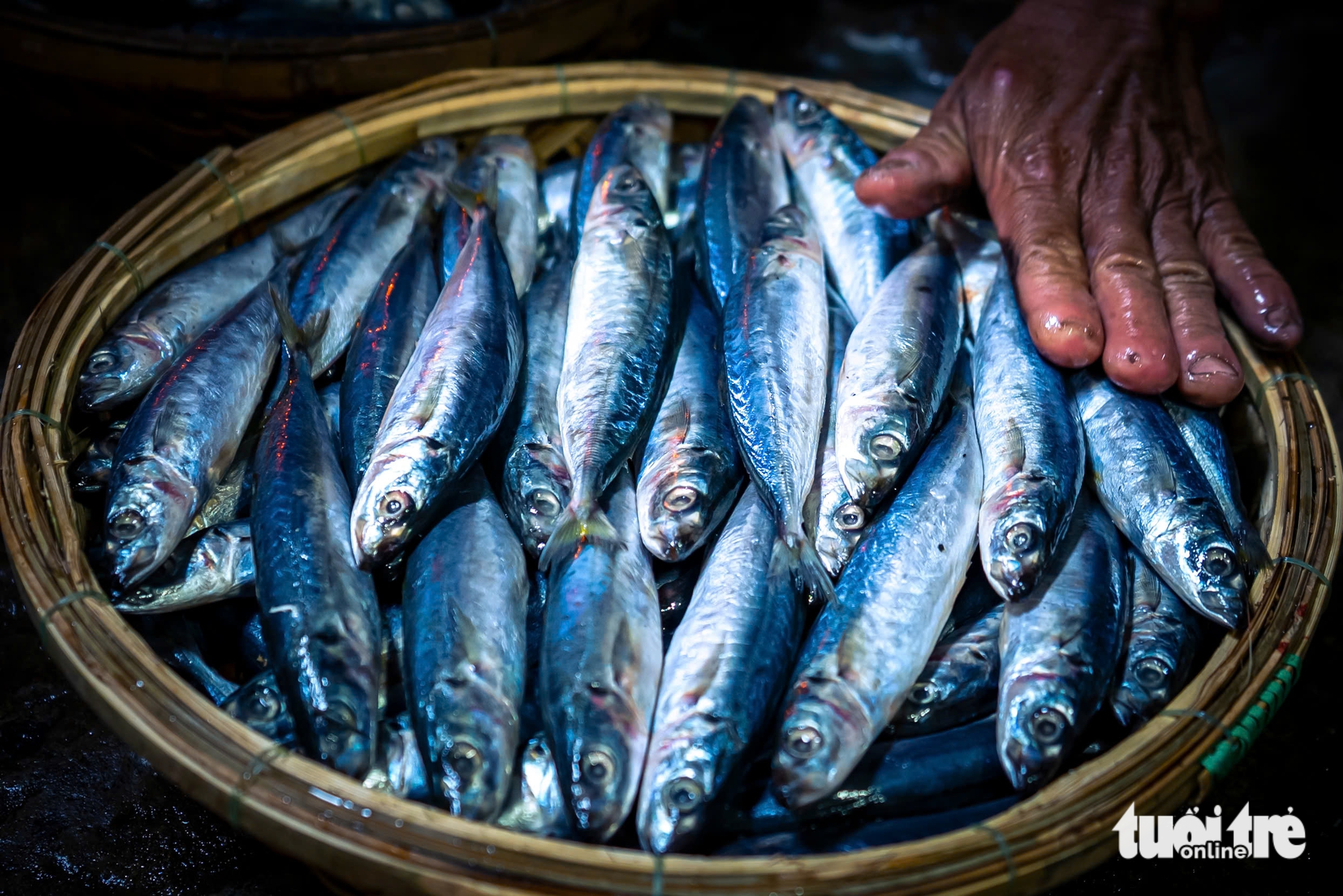 归仁的蒸鱼、鱿鱼业：在海味浓郁的厨房中保持火候