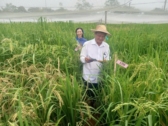 工程师守护40种珍贵季节稻种