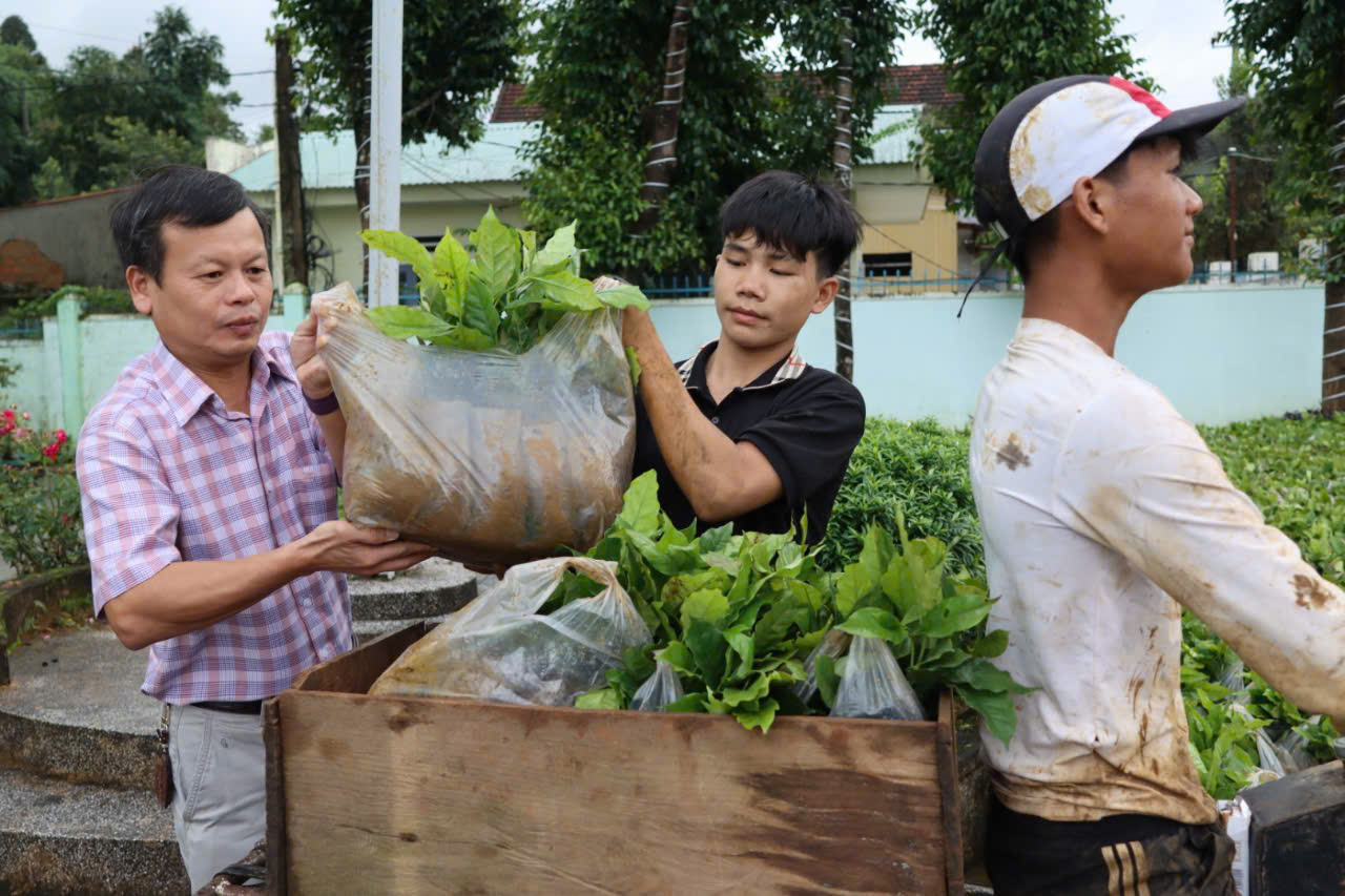 Tu Mơ Rông乡'拒绝鲜花，接受绿色幼苗'，村民在大日子里收获喜悦