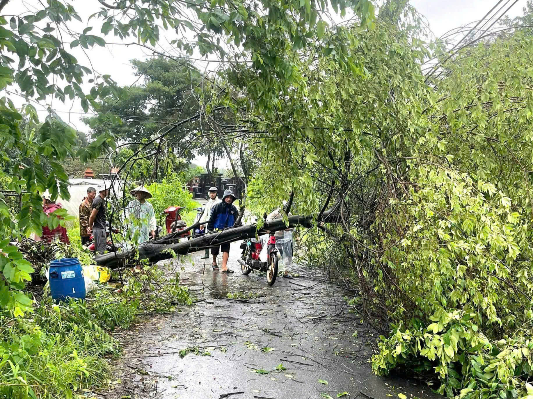古芝县支援因暴风雨受损的居民