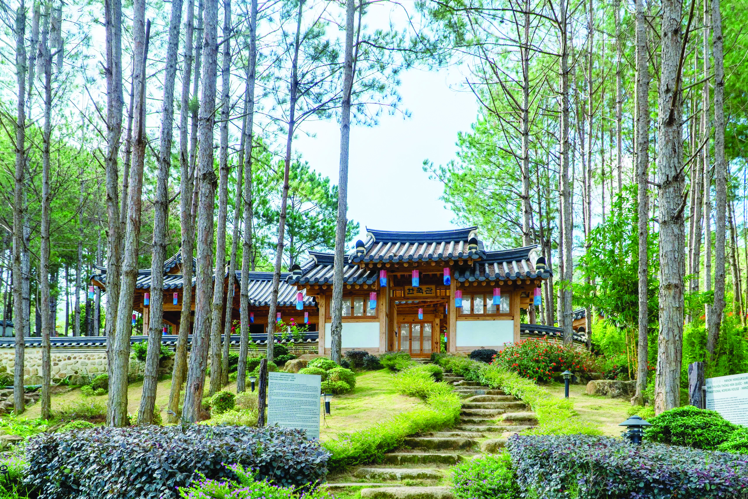 象山松林 - 大叻中心的新生态旅游目的地