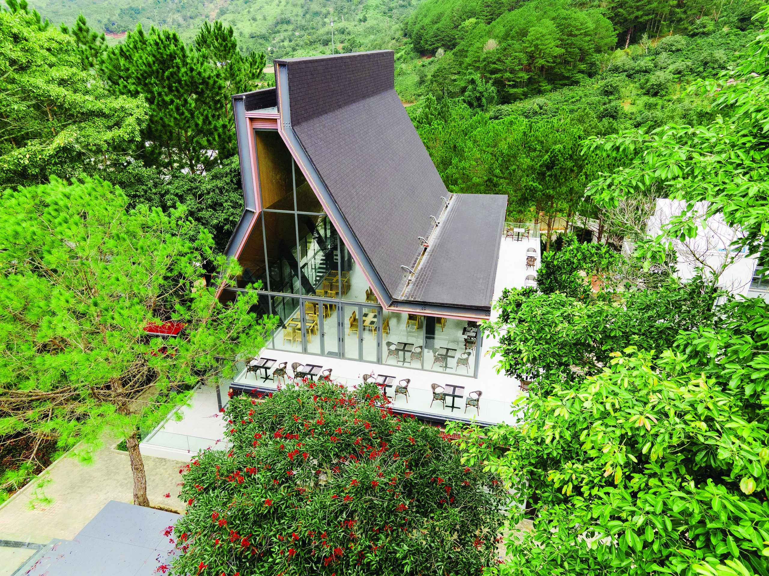 象山松林 - 大叻中心的新生态旅游目的地