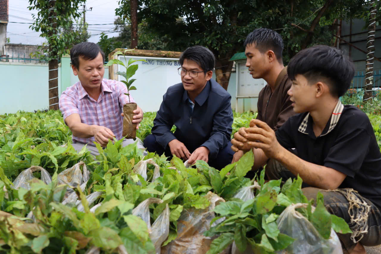 Tu Mơ Rông乡'拒绝鲜花，接受绿色幼苗'，村民在大日子里收获喜悦