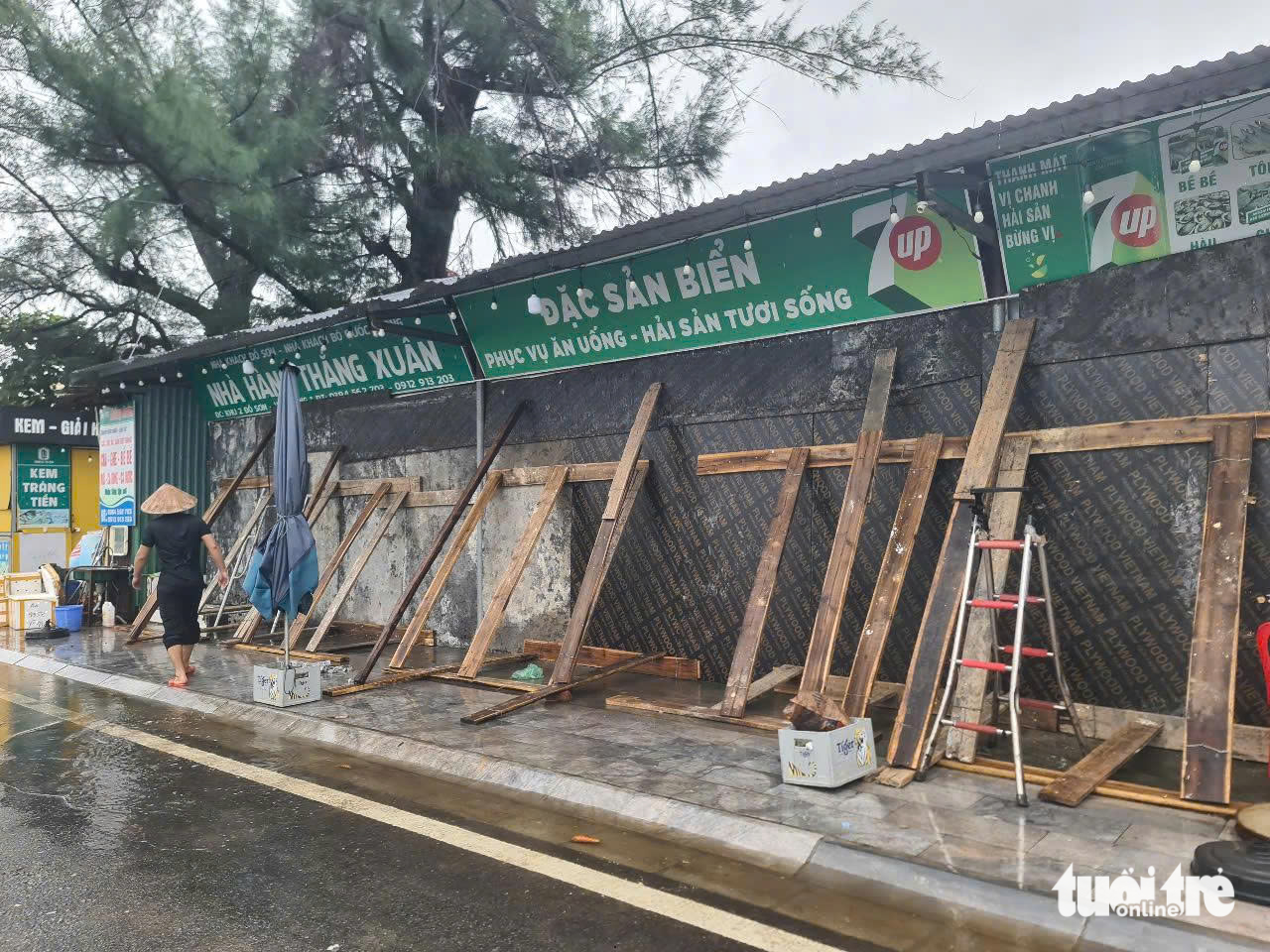 副总理：3号台风可能增强强度，特别是在类似Yagi台风的高潮条件下