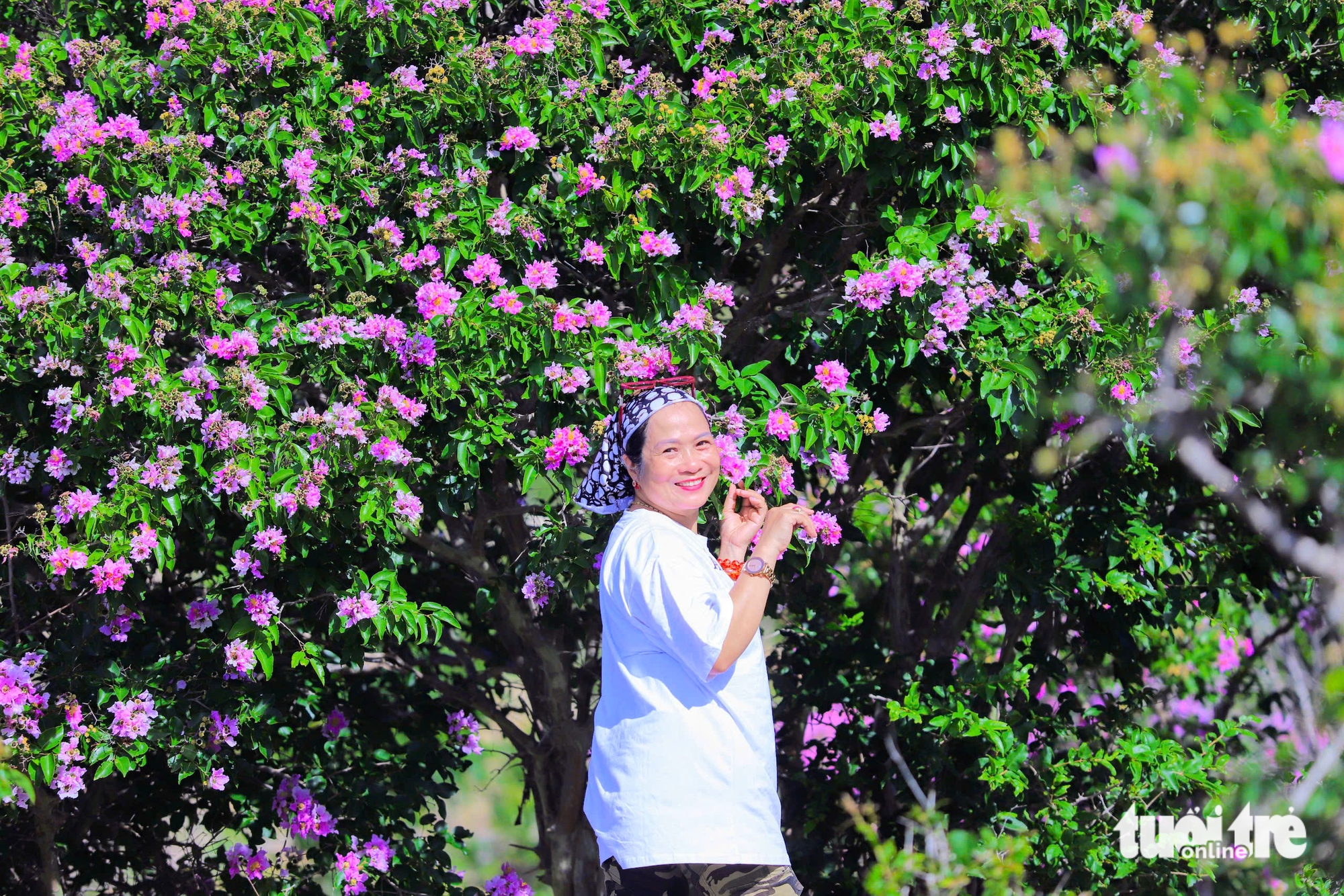 游客沉醉于染紫森林的'花毯'