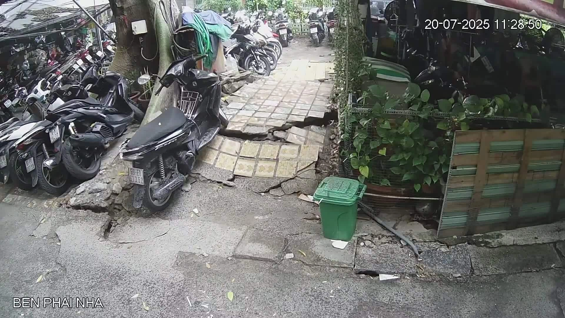 20米高大树根部松动，随时可能倒塌到胡志明市居民家中