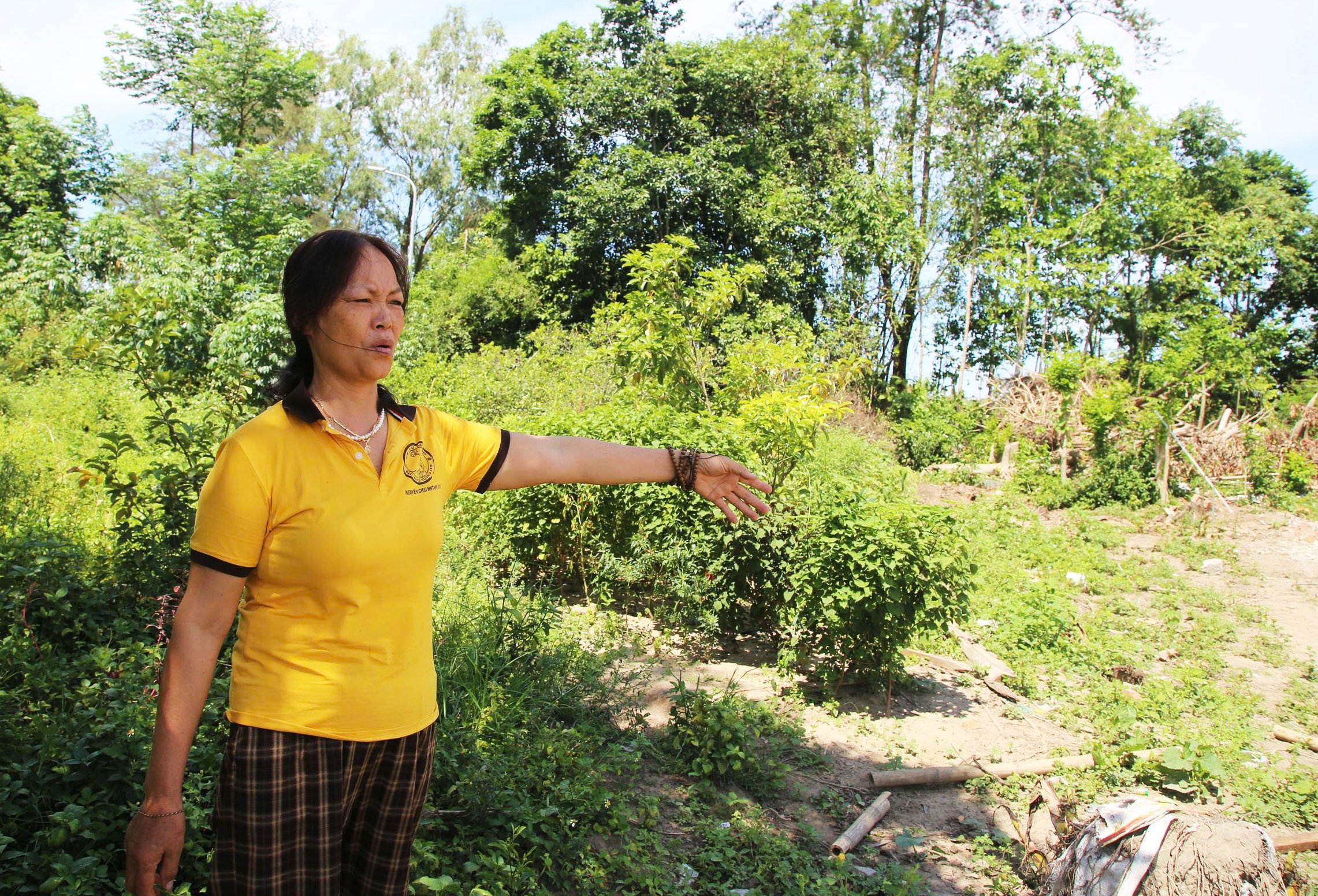 因转换300平方米园地为住宅用地而震惊失去45亿越南盾