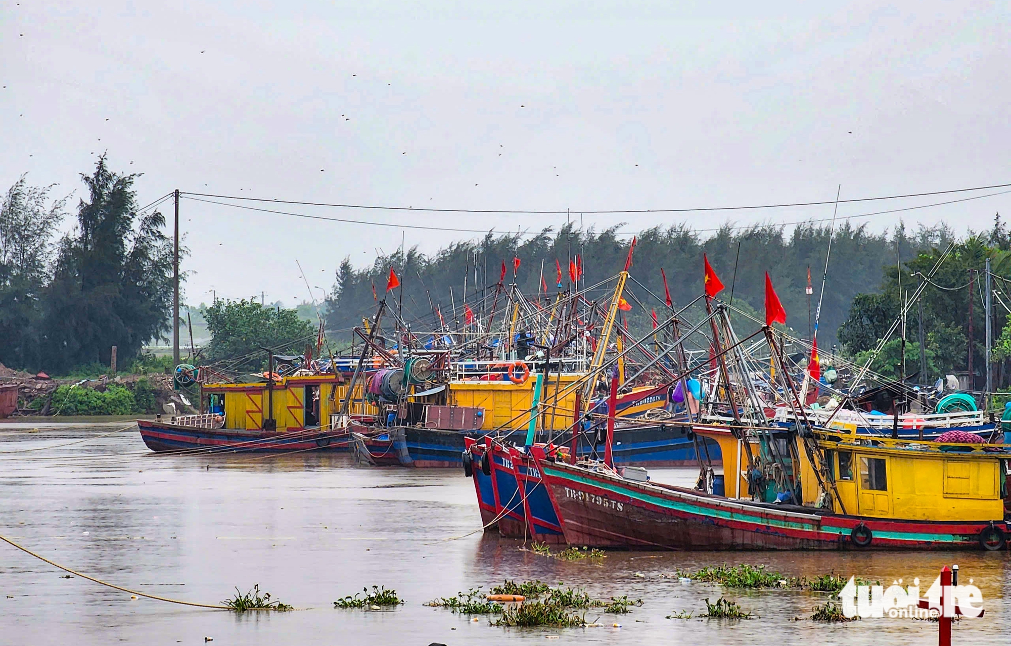 兴安沿海开始下大雨，居民'屏息'等待第三号台风Wipha