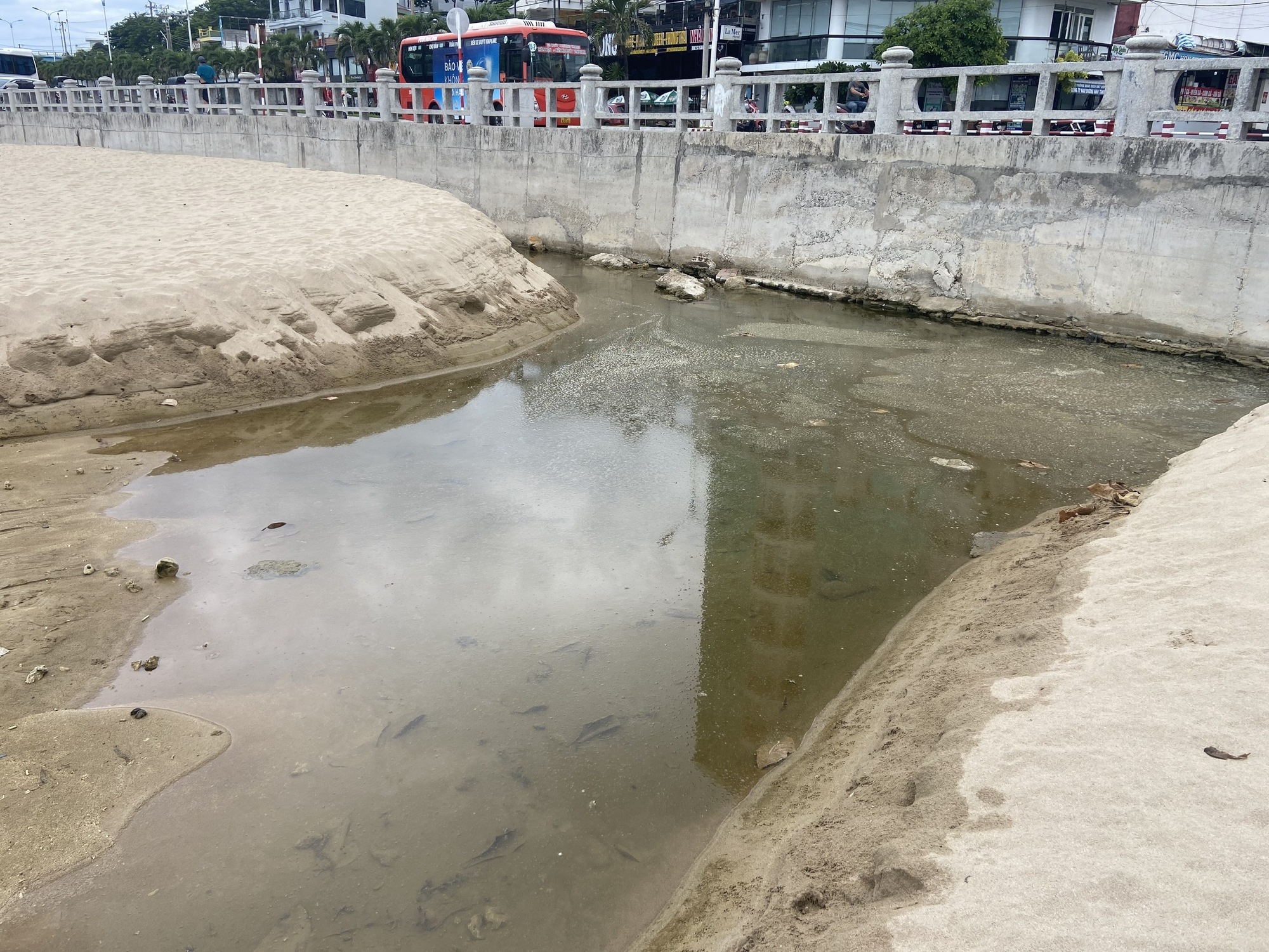 黑色污水直接流入芽庄海，威胁Hon Chong珊瑚礁