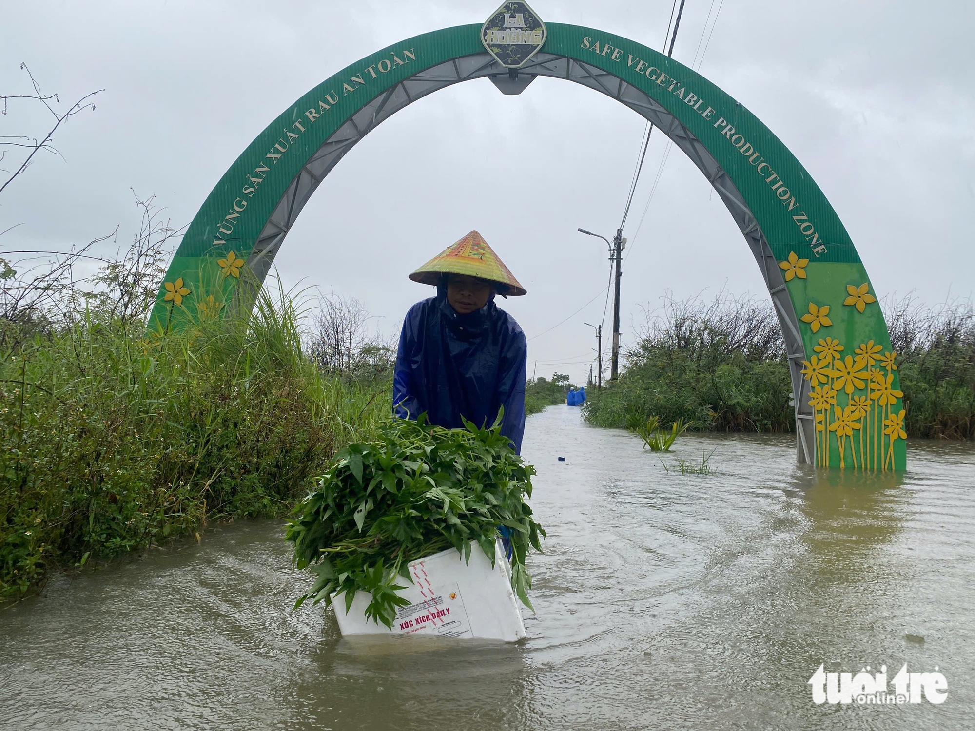 岘港的蔬菜村深陷洪水，农民心痛地抢救每一根蔬菜