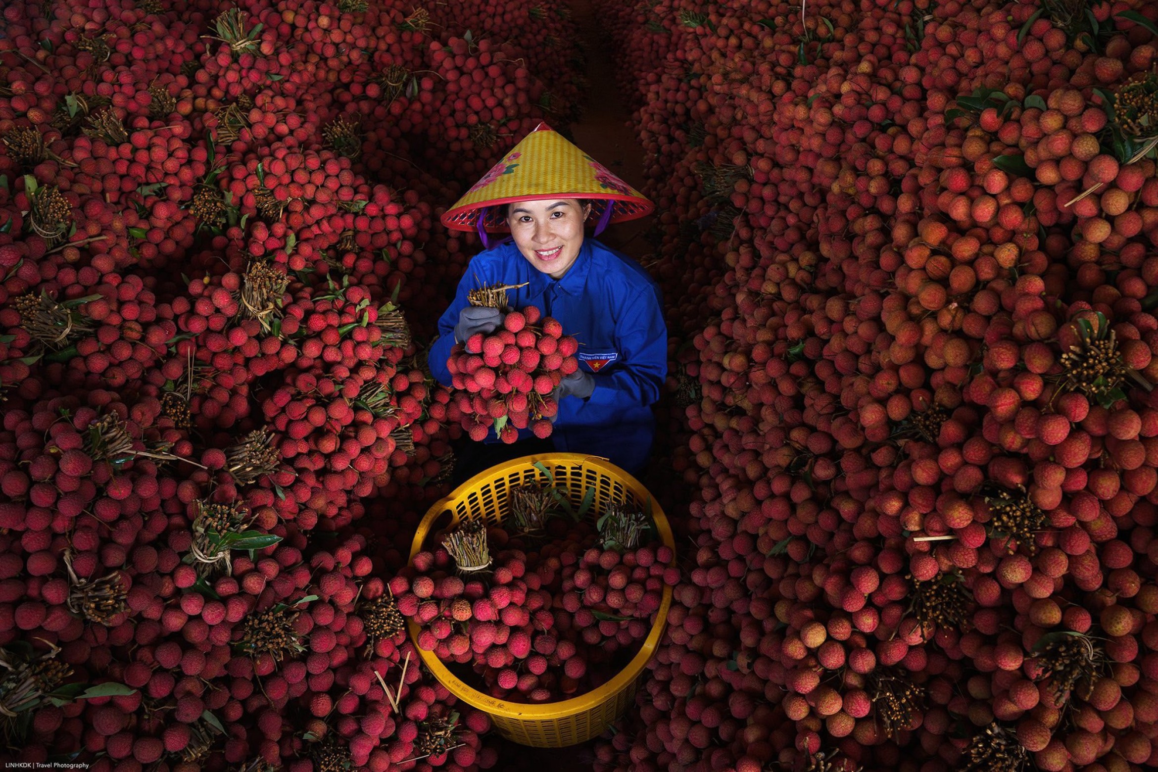北宁的荔枝市场因美丽照片如电影场景般'火爆'