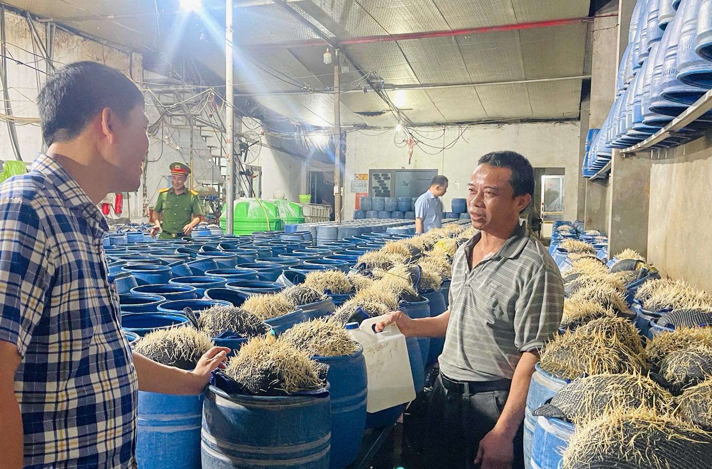 近距离观察使用有害化学品生产豆芽的作坊