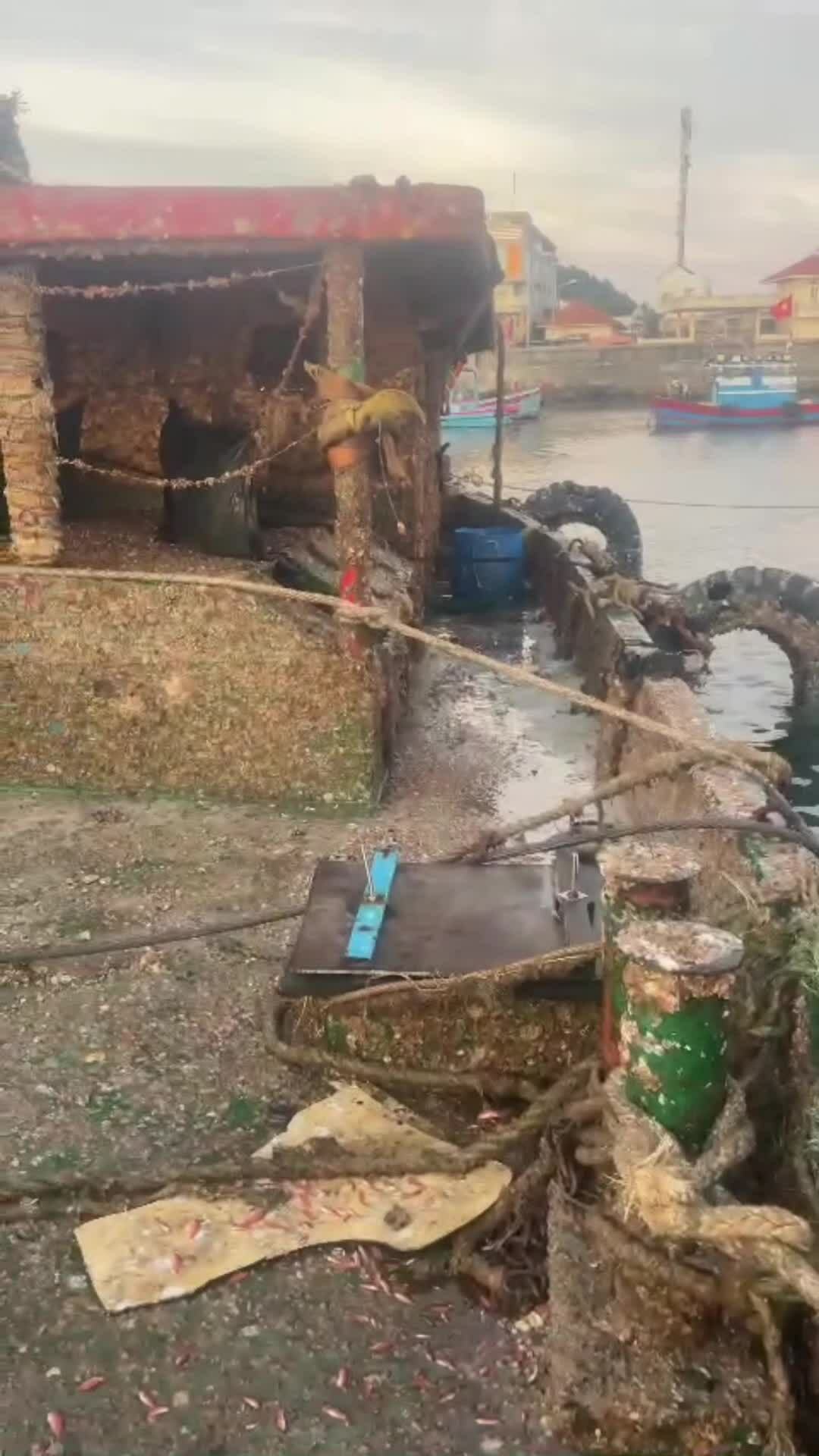 在Lý Sơn沉没导致4人死亡的船只已被打捞