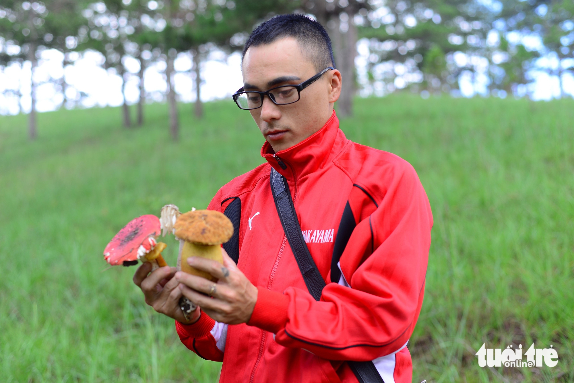 大叻刚刚进入采摘‘天赐之福’的季节，许多人不得不入院