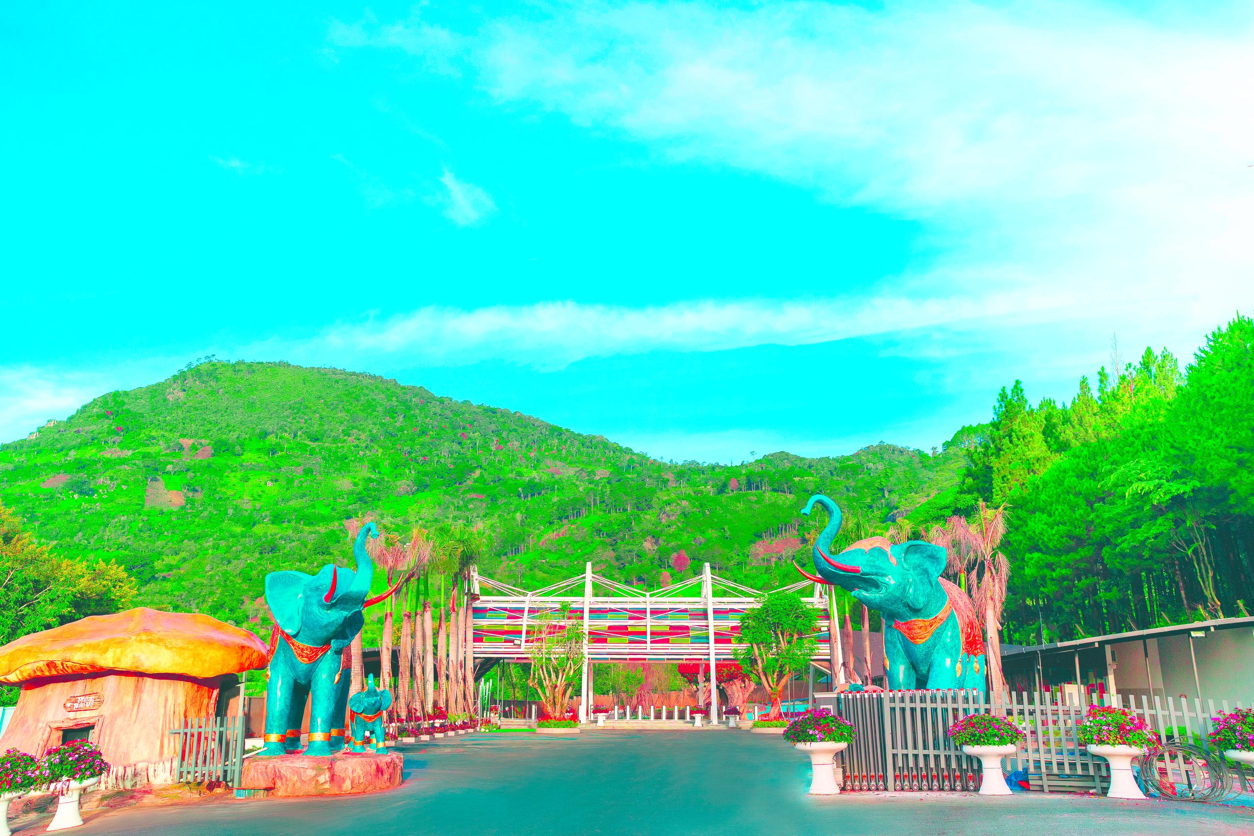 象山松林 - 大叻中心的新生态旅游目的地