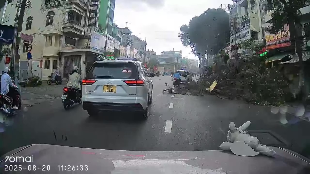 胡志明市中午大雷雨，多处树木倒下