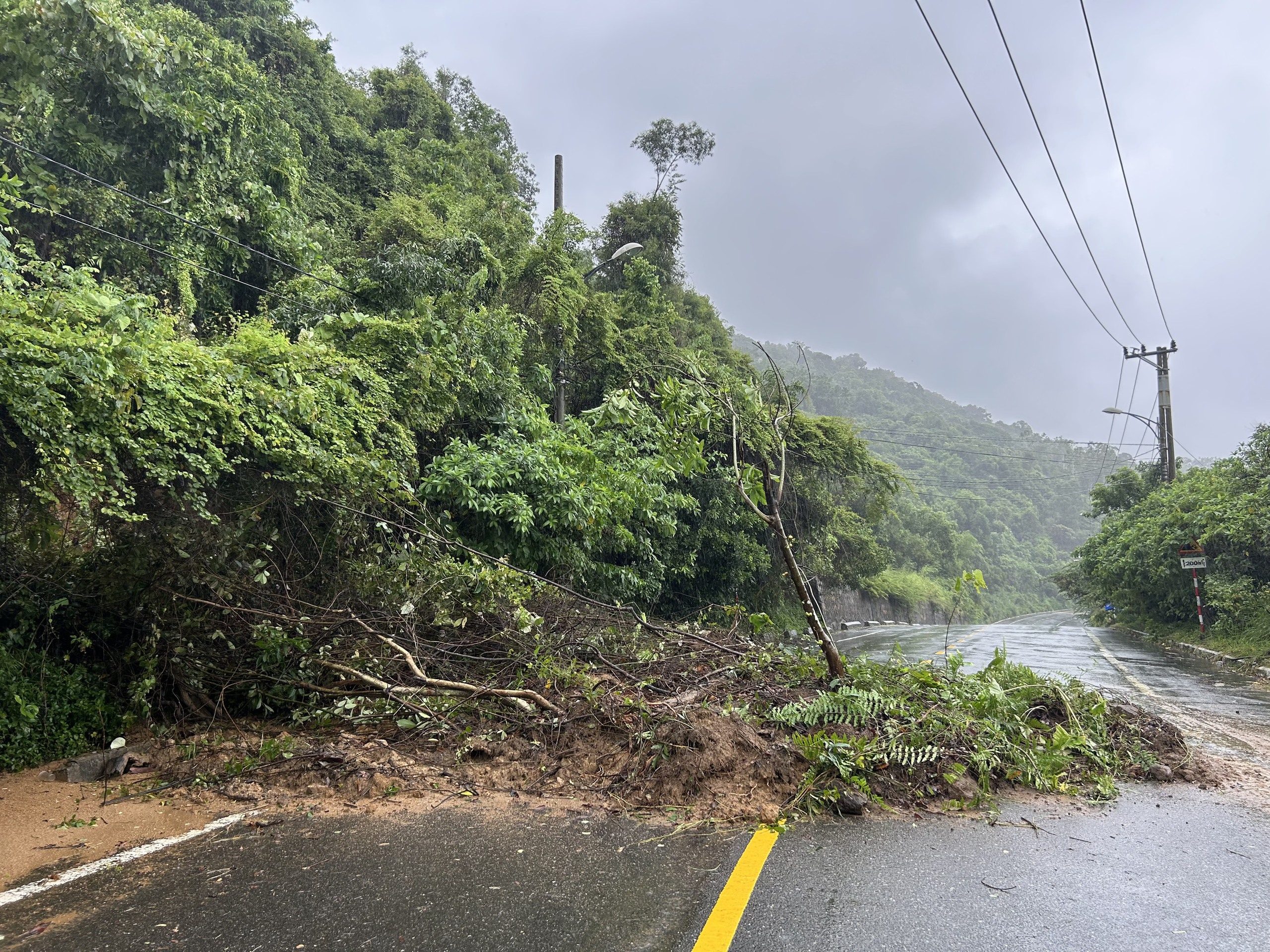 山茶半岛出现多处滑坡，土石阻断道路