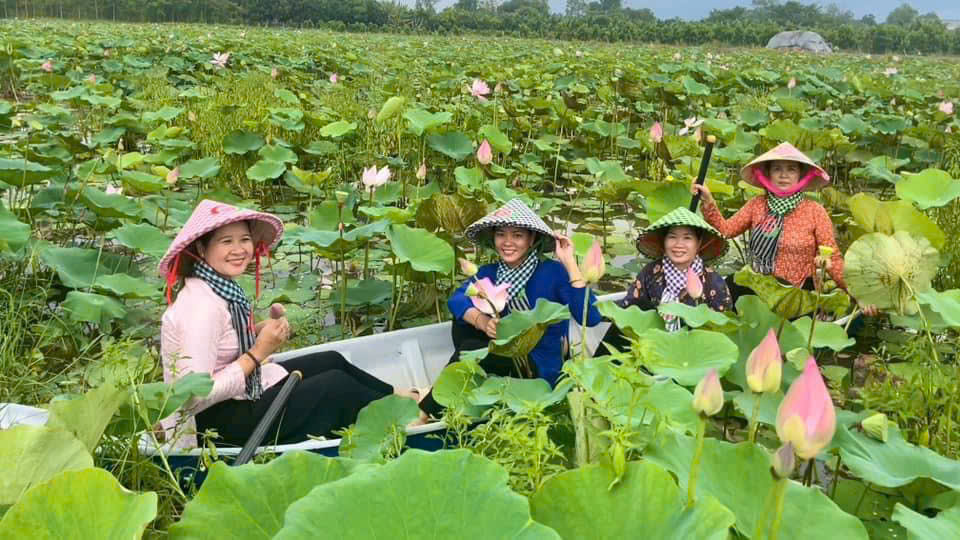同塔以其朴素自然之美吸引游客