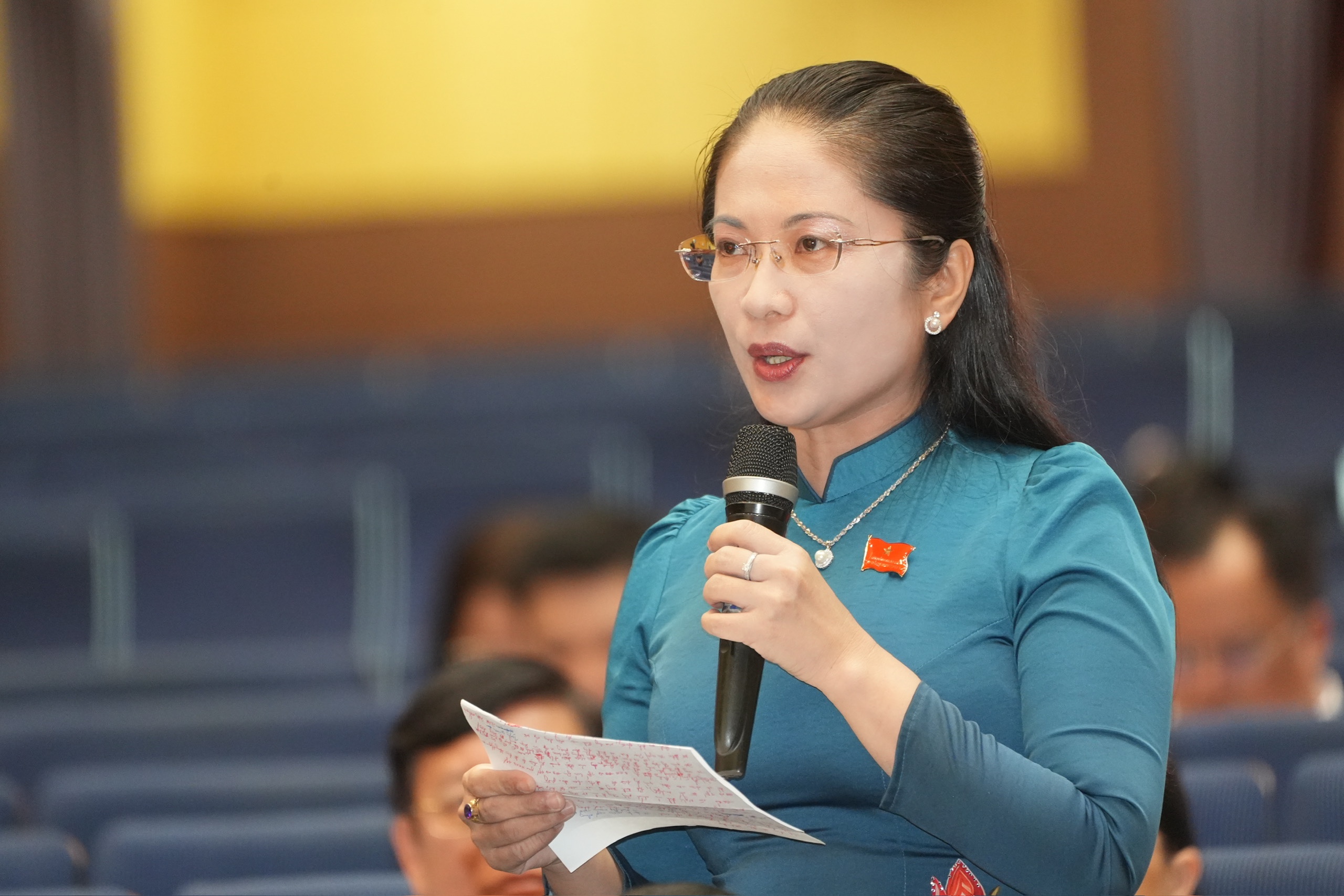 胡志明市人民议会代表建议在乡、坊成立城市秩序管理队伍