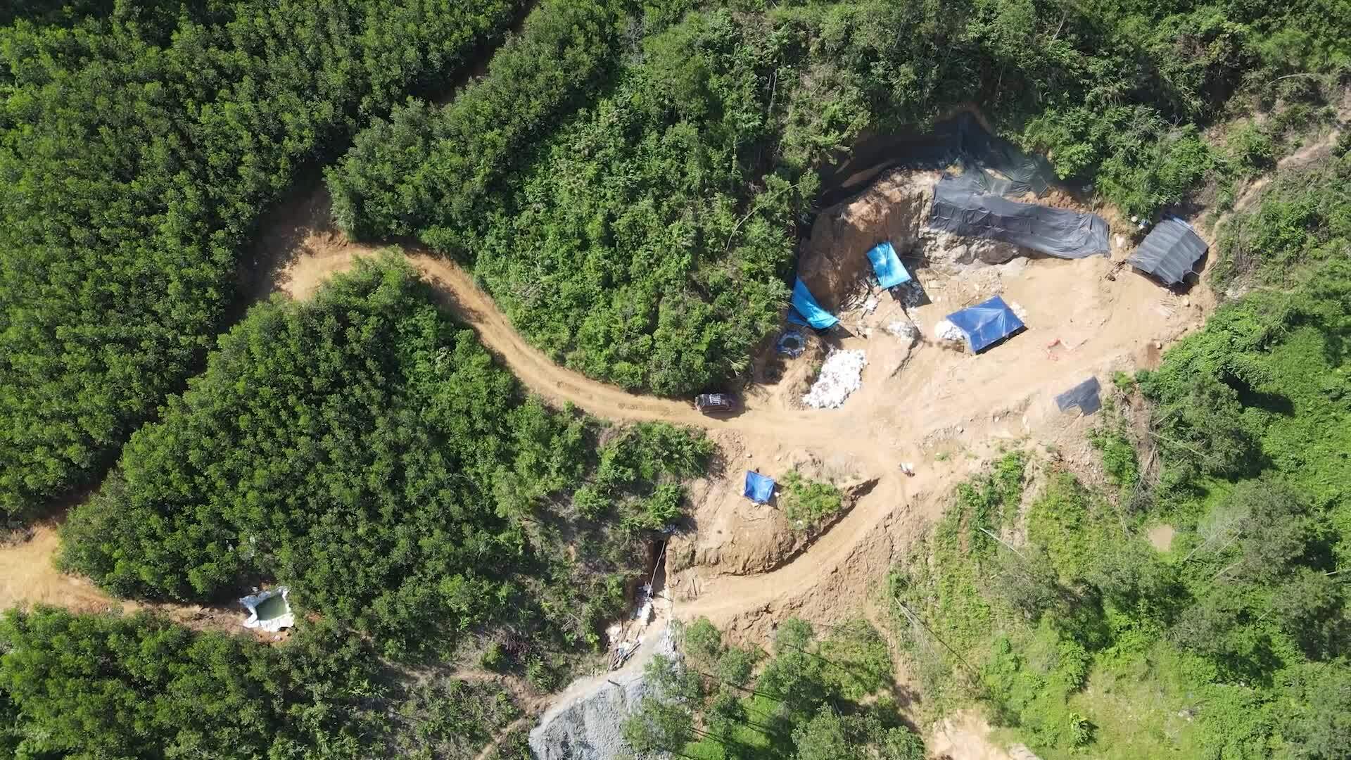 森林中的非法金矿开采'工地'