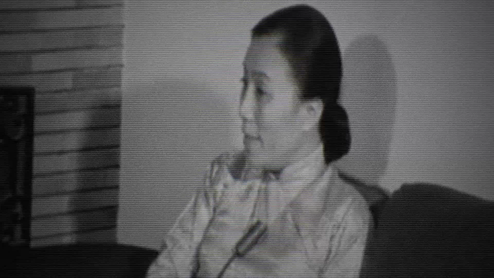 阮氏萍——越南的和平使者