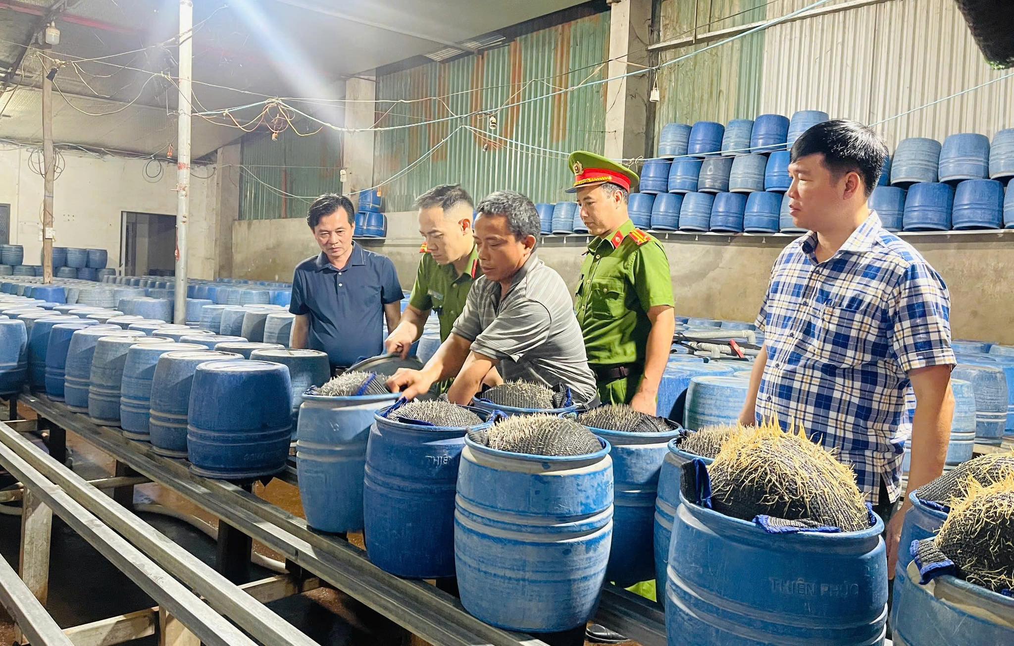 近距离观察使用有害化学品生产豆芽的作坊